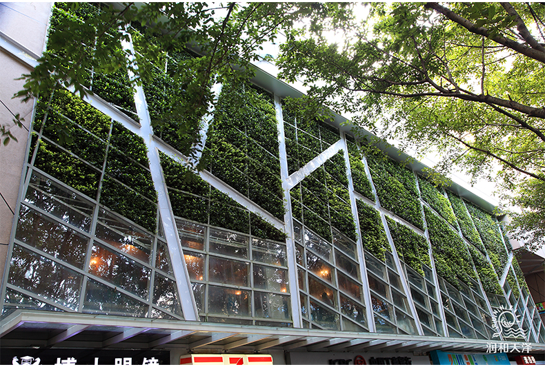 室内花园植物墙垂直花园家居装饰艺术品绿植 空气净化 植物绿植生态装置植物装置绿化生态墙绿墙  