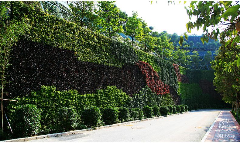 室内花园植物墙垂直花园家居装饰艺术品绿植 空气净化 植物绿植生态装置植物装置绿化生态墙绿墙  