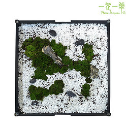 一花一草苔藓桌 生态家居 创意植物装饰家具 家居装饰艺术品