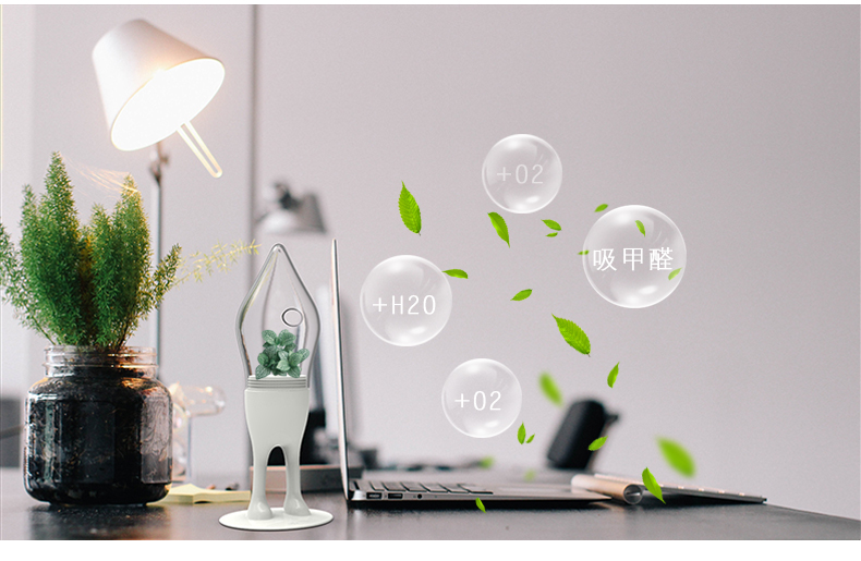 一花一草 创意办公室盆景室内家居绿植生态玻璃瓶盆栽小摆件 异星部落 刃 