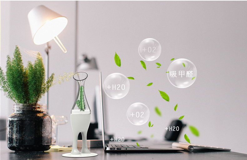 一花一草 创意办公室玻璃盆景装饰品 桌面绿植盆栽室内家居摆件 生日礼物 异星部落 号