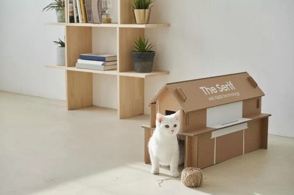 三星的新电视纸板箱可以回收再造猫窝
