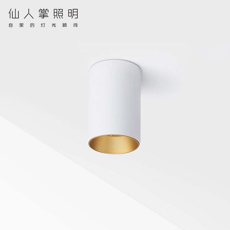 仙人掌先生圆形LED明装筒灯免开孔吸顶单头客厅天花COB明装射灯