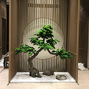 仿真迎客松