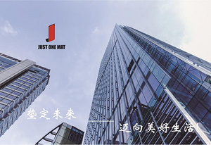 除尘垫，吸水垫，LOGO垫