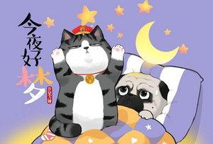 吾皇万睡x万豪 | 吾皇邀你一起向美梦“粗发” 今夜好梦
