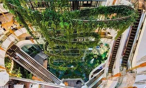 如何让绿色商业不再陷入"植物怪圈" ？
