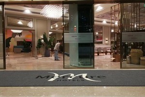 酒店大门出入口地垫三条纹地垫办公楼地垫刮痧防尘防滑地垫购物中心大门外地垫酒店通道地垫地毯
