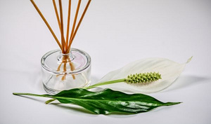 藤条香薰怎么用？藤条香薰需要多久更换一次？