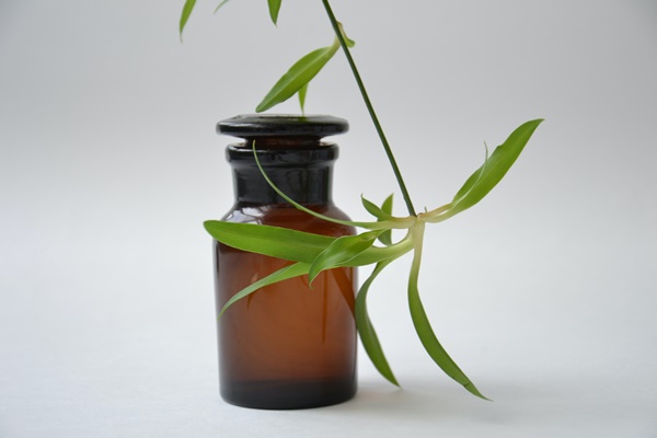 音乐有助于香薰功效的发挥吗？
