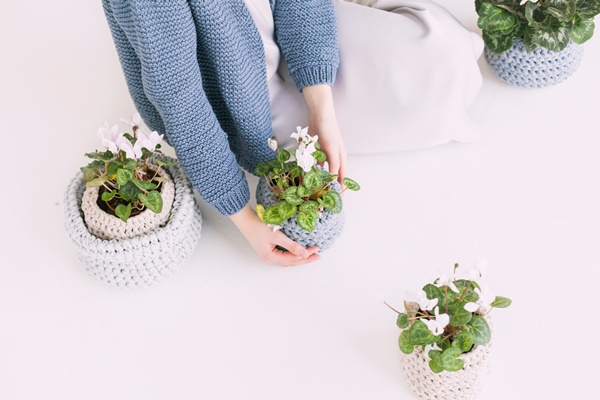 有哪些花卉不适合在家里养？家里可以养很多花吗？