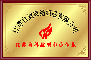 科技型中小企业