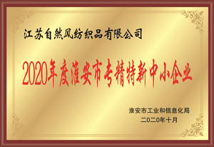 市专精特新中小企业