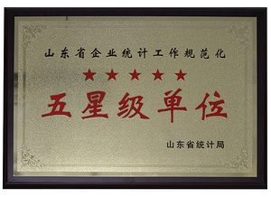 山东省企业统计工作规范化 五星级单位
