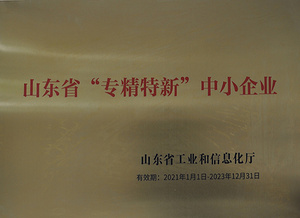 山东省专精特新中小企业