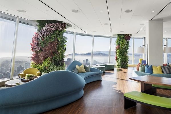 这间办公室用25000株植物打造了一个垂直花园