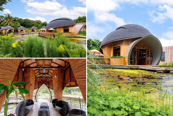 这家泰国生态旅馆以海龟为灵感来设计特色生态小屋