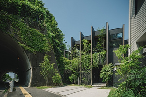 茂密绿色植物带走了城市氛围 绿树环绕的日式住宅