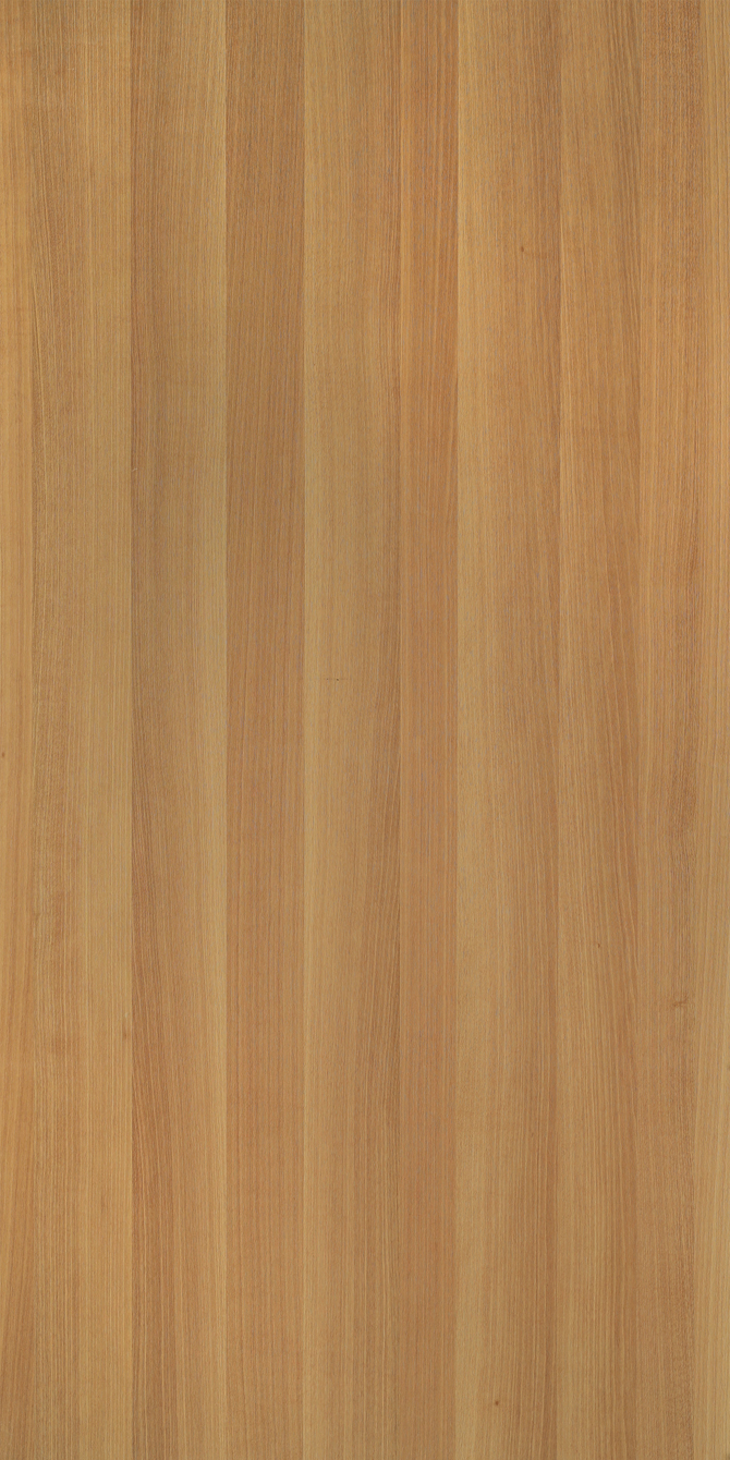 K6110AN安丽格钢刷自然拼 3.2mm