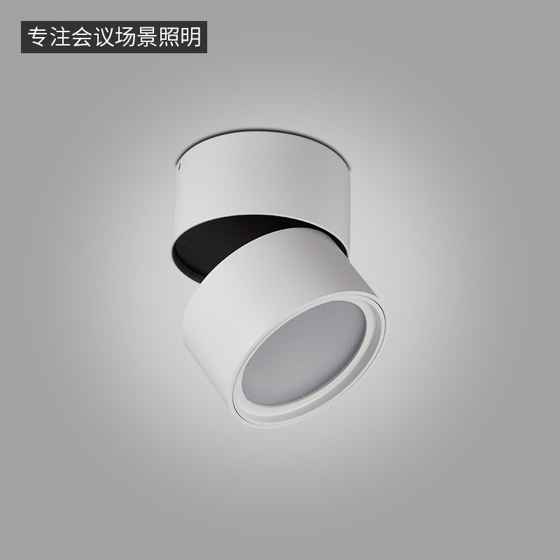 LN-T系列筒灯-8598-明装 -
