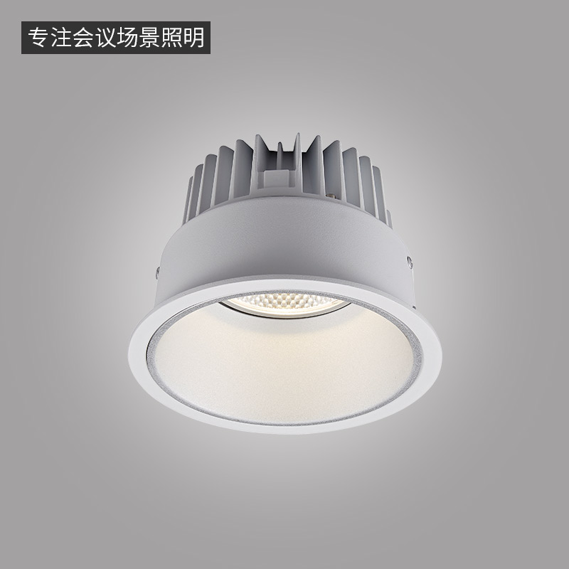 LN-T系列筒灯-11077-深炫 -