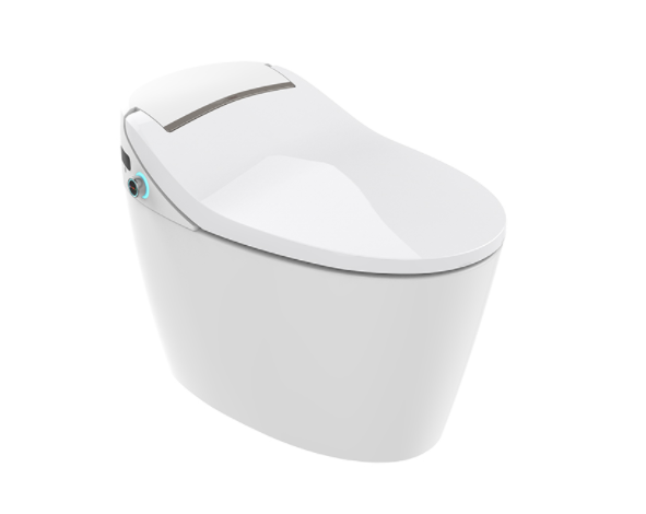 NC2165W-3-体智能座便器
