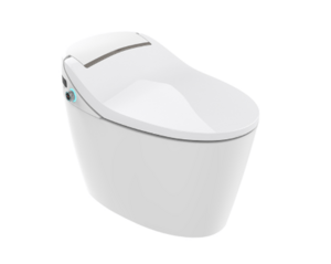 NC2165W-3-体智能座便器