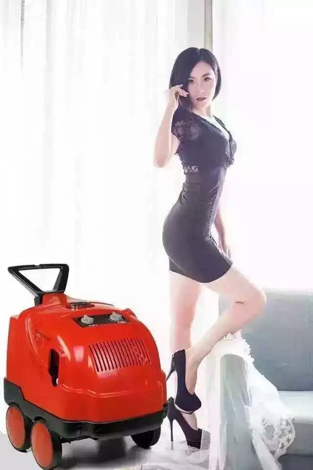 进口高温高压清洗机