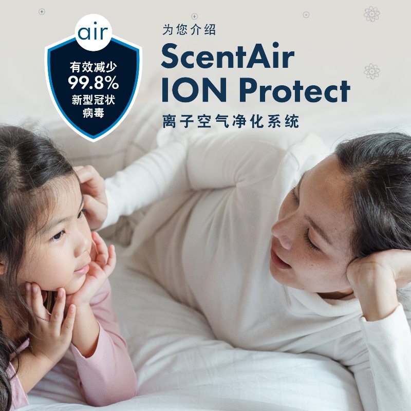 离子空气净化系统 ION Protect