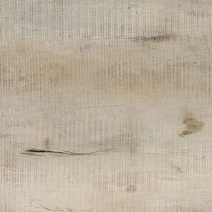 CMW-4557