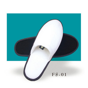 FS-01