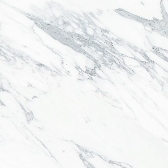 PXN-613 大花白