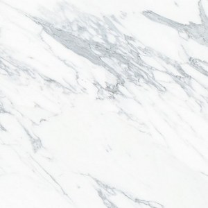 PXN-613 大花白