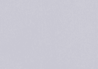 MS01