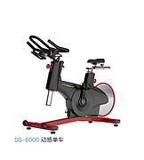 SS-6000