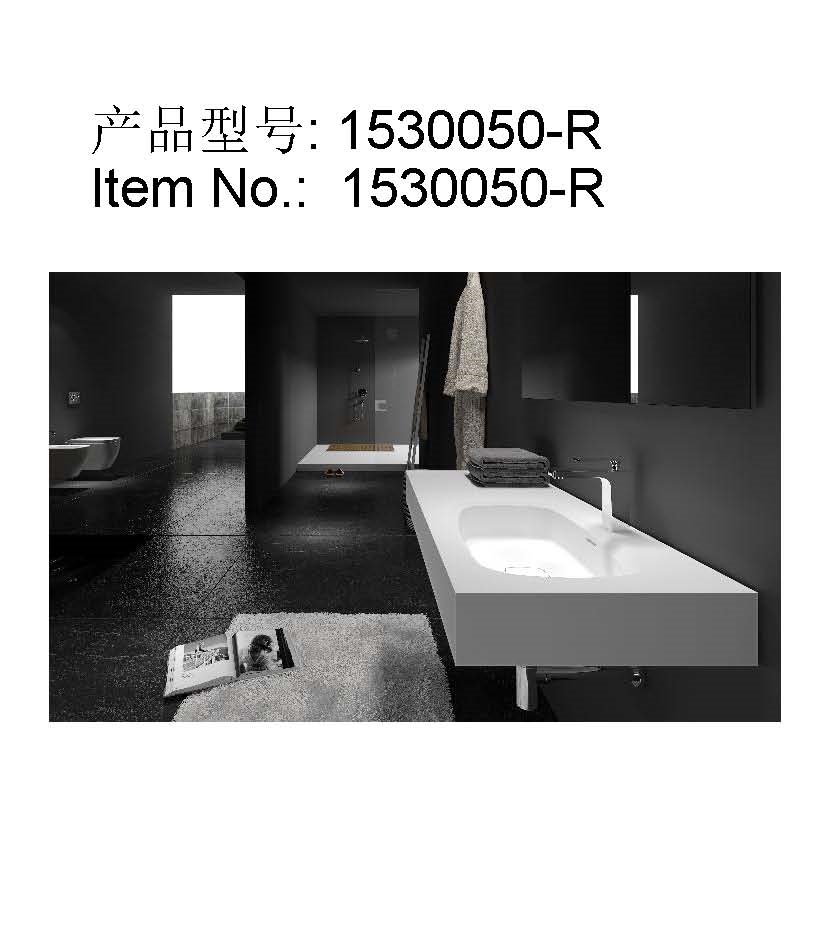 产品型号1530050-R