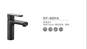 GY-6031A
