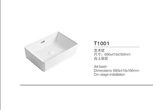 T1001