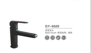 GY-6020