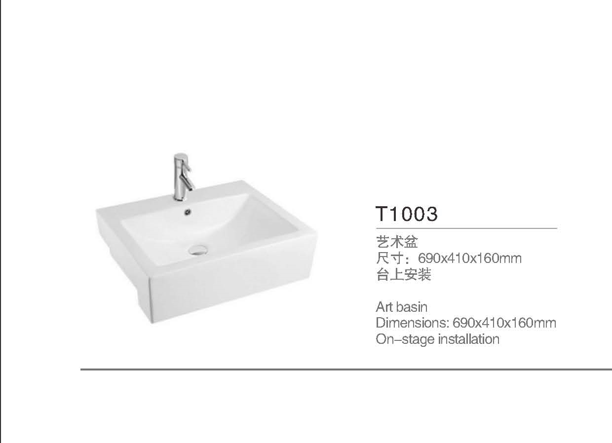 T1003