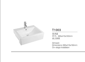 T1003
