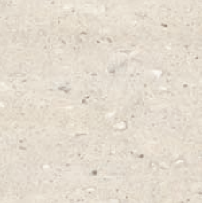 PEANUT WHITE PJP66001
