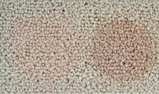 STAIN RESISTANCE5
