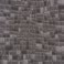 FOREST-Shwartzwald8
