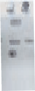 狮林卫浴系列17