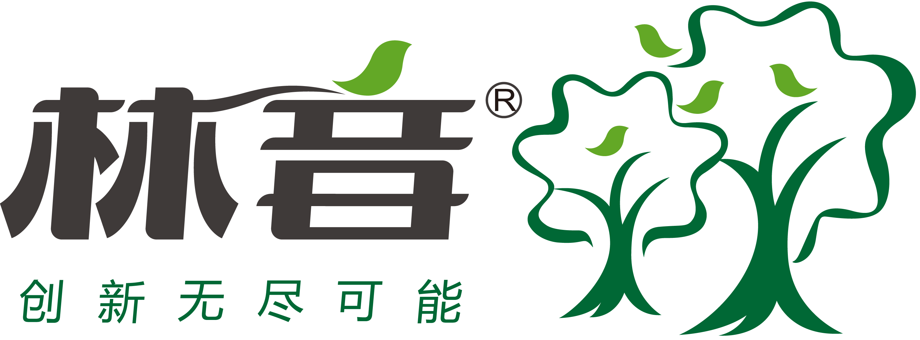 上海林音实业发展有限公司