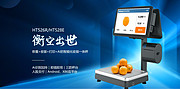 衡器HT52X系列