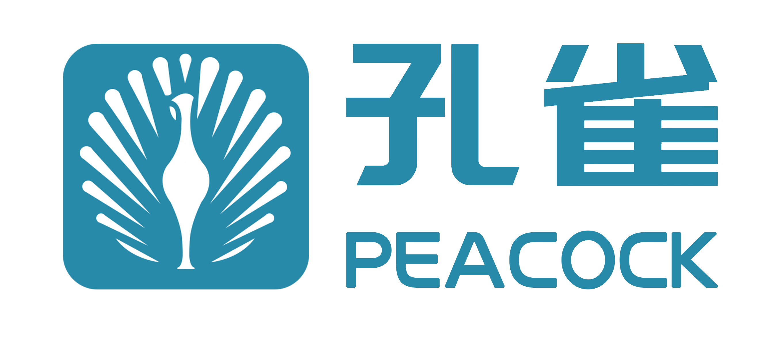 苏州瑞禾信息科技有限公司