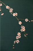 寒梅