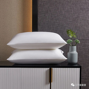 丽豪微课堂 | 枕头上的汗渍、口水印、头油、异味如何去除？
